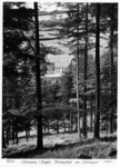 8n36sw1_1958_Gasthaus zur Schwingerei_v.jpg